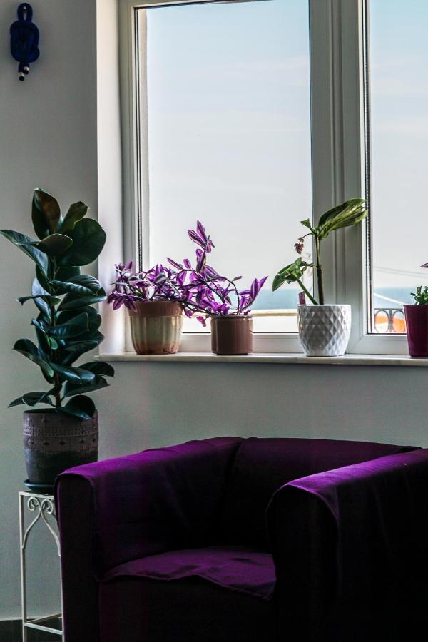 Vila Gladiola Eforie Nord Ngoại thất bức ảnh